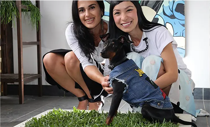 Real grass potty training toilet takes stress out of teaching your puppy where to poop